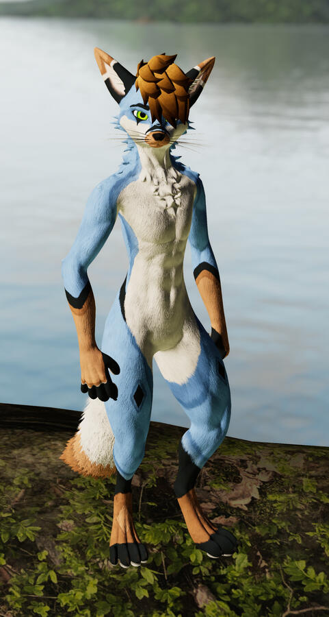 MokaruHusky