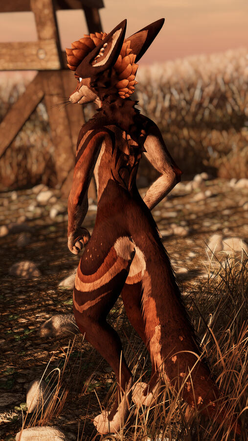 LapuaCoyote