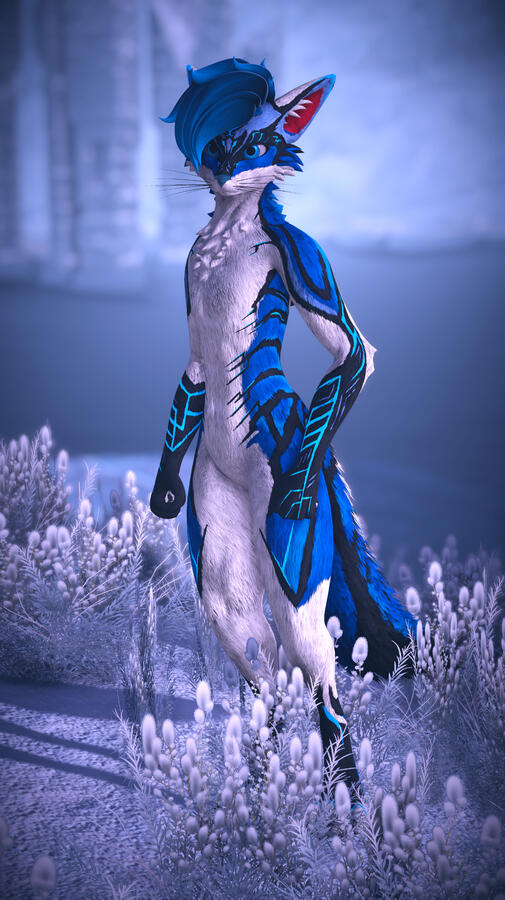 Iris*