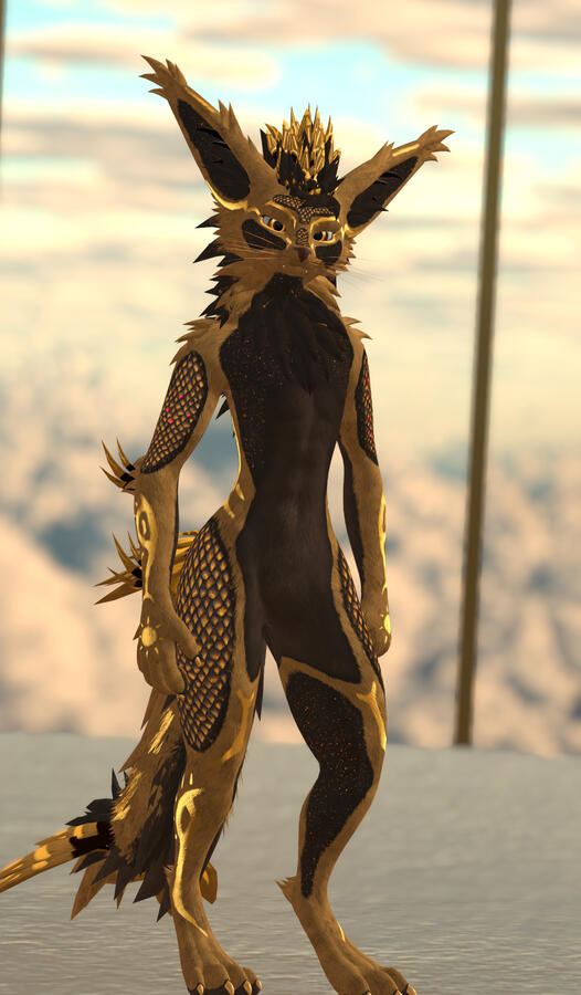 OC_Solaris
