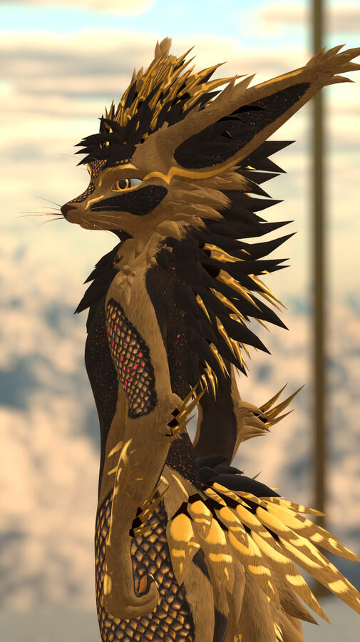 OC_Solaris